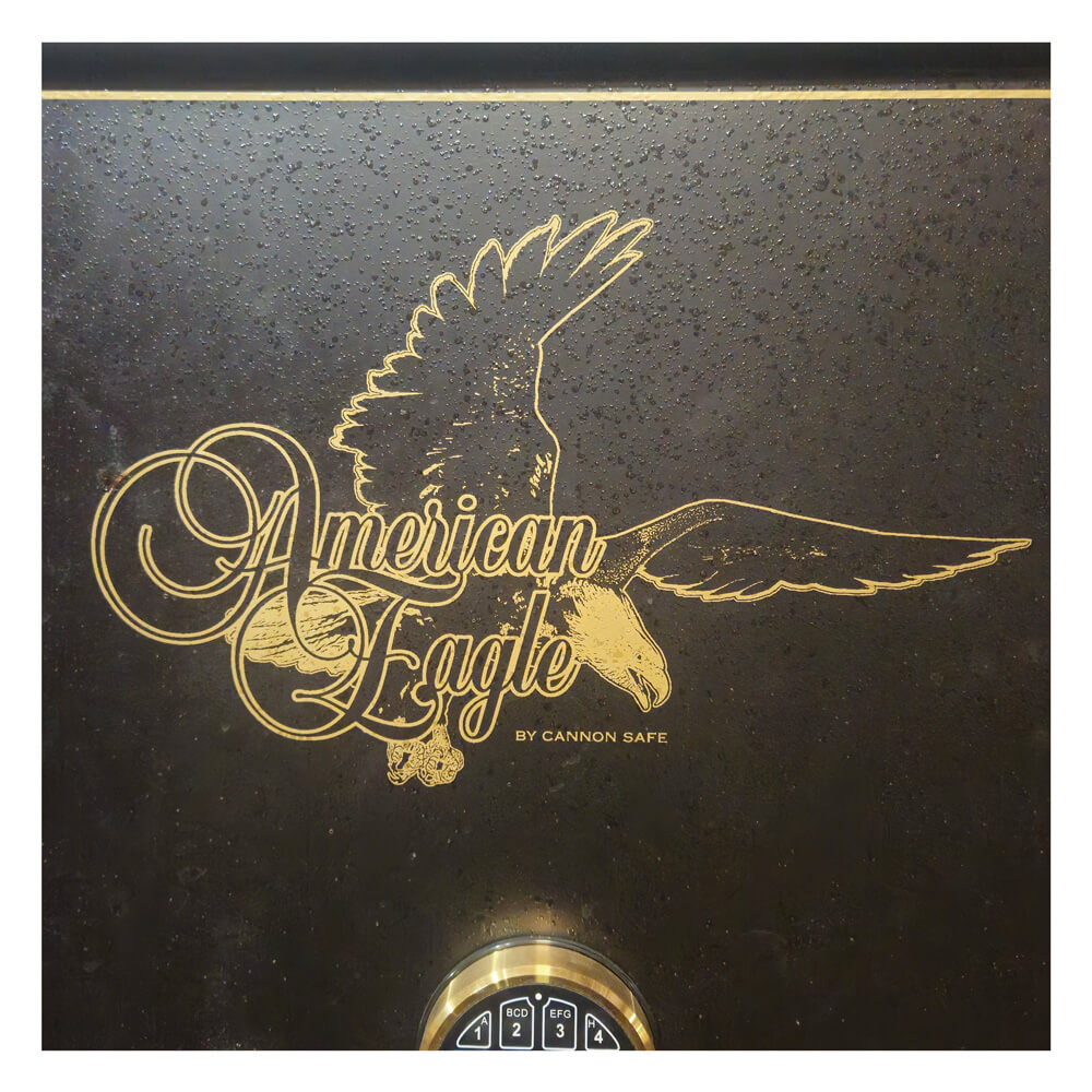Used Cannon AE-22 American Eagle Fire Rated Gun Safe