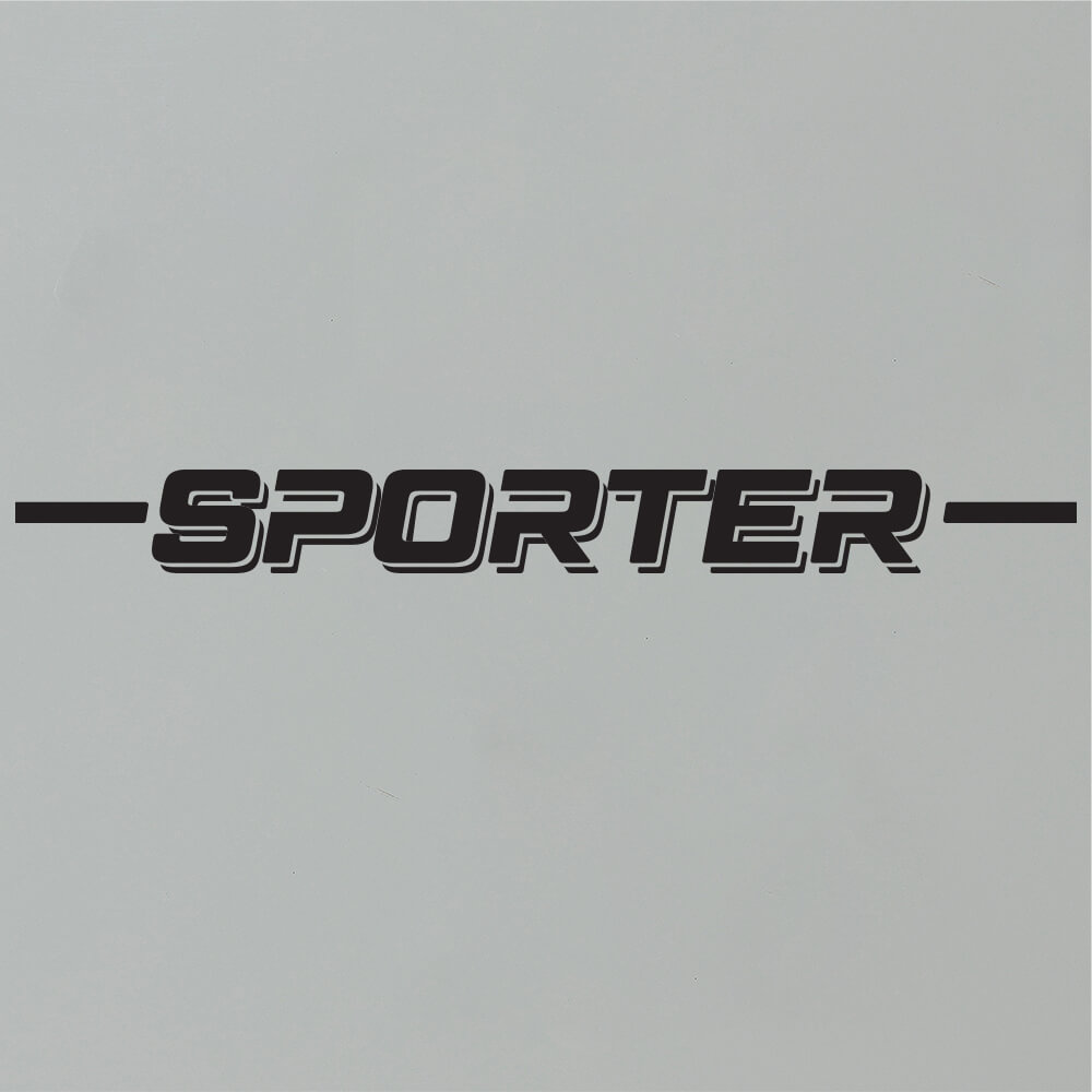 Browning Sporter 20 Gun Safe SP20 - Dean Safe