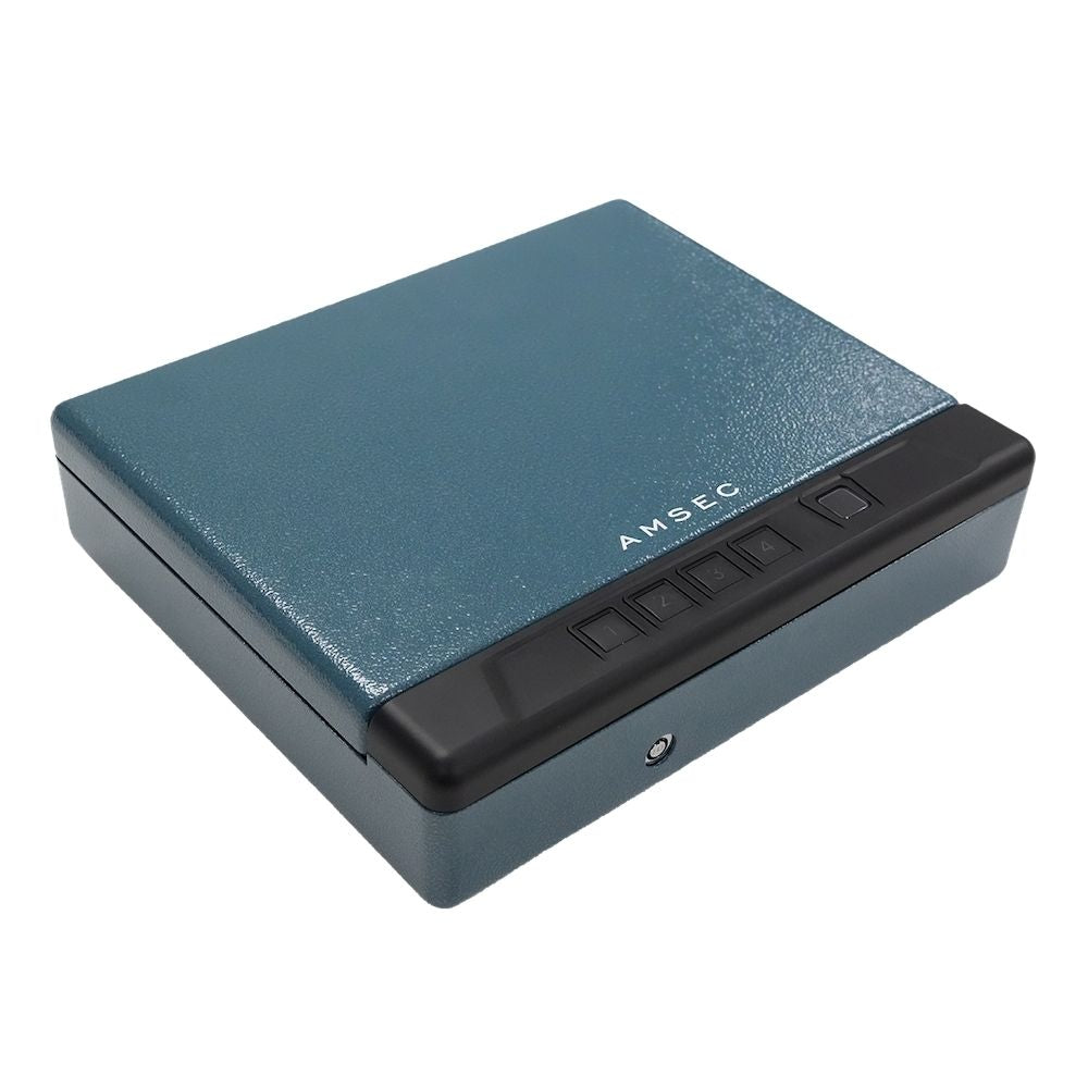 AMSEC Guardian Pro 5 Biometric Handgun Safe